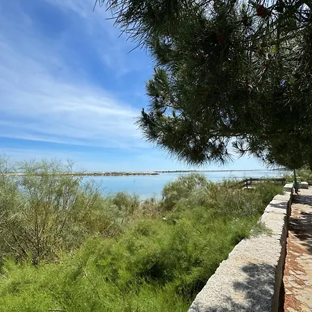 The House * ヴィーラ・ノーヴァ・デ・カセラ